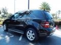 Black - ML 350 4Matic Photo No. 5