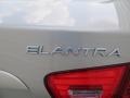 2009 Natural Khaki Hyundai Elantra GLS Sedan  photo #15