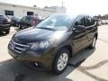 2014 Kona Coffee Metallic Honda CR-V EX-L AWD  photo #7