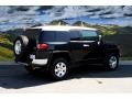 Black Diamond - FJ Cruiser 4WD Photo No. 3