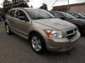 Light Sandstone Metallic - Caliber SXT Photo No. 4