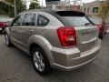 Light Sandstone Metallic - Caliber SXT Photo No. 9