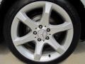 2007 Mercedes-Benz C 230 Sport Wheel and Tire Photo