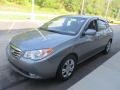 2010 Carbon Gray Mist Hyundai Elantra GLS  photo #8