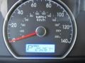 Carbon Gray Mist - Elantra GLS Photo No. 20