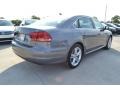 Platinum Gray Metallic - Passat 2.5L SE Photo No. 2
