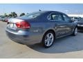 Platinum Gray Metallic - Passat 2.5L SE Photo No. 2