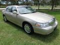 2007 Light French Silk Metallic Lincoln Town Car Signature Limited  photo #14