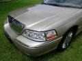 2007 Light French Silk Metallic Lincoln Town Car Signature Limited  photo #18
