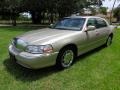 2007 Light French Silk Metallic Lincoln Town Car Signature Limited  photo #43