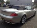 Mineral Silver Metallic - 6 Series 645i Convertible Photo No. 4