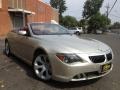 Mineral Silver Metallic - 6 Series 645i Convertible Photo No. 11