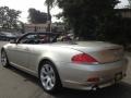 Mineral Silver Metallic - 6 Series 645i Convertible Photo No. 14