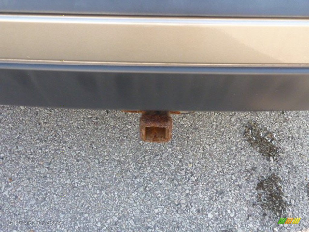 2004 Freestar SES - Arizona Beige Metallic / Flint Grey photo #5