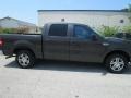 Dark Shadow Grey Metallic - F150 XLT SuperCrew Photo No. 3