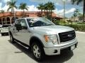 2010 Ingot Silver Metallic Ford F150 FX4 SuperCrew 4x4  photo #1