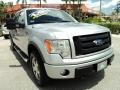 2010 Ingot Silver Metallic Ford F150 FX4 SuperCrew 4x4  photo #2