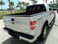 2010 Ingot Silver Metallic Ford F150 FX4 SuperCrew 4x4  photo #6