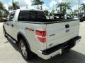 2010 Ingot Silver Metallic Ford F150 FX4 SuperCrew 4x4  photo #9