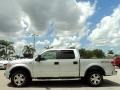 2010 Ingot Silver Metallic Ford F150 FX4 SuperCrew 4x4  photo #12