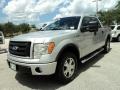 2010 Ingot Silver Metallic Ford F150 FX4 SuperCrew 4x4  photo #13