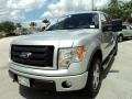 2010 Ingot Silver Metallic Ford F150 FX4 SuperCrew 4x4  photo #14