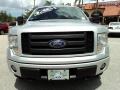 2010 Ingot Silver Metallic Ford F150 FX4 SuperCrew 4x4  photo #15