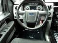 2010 Ingot Silver Metallic Ford F150 FX4 SuperCrew 4x4  photo #25