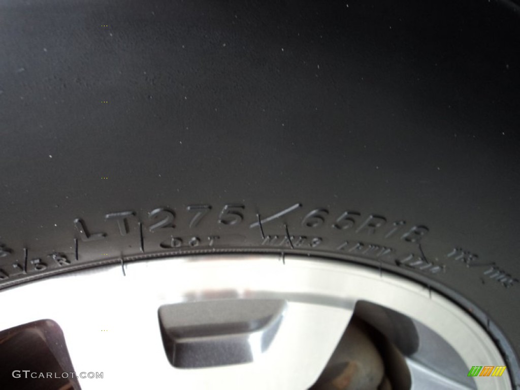 2010 F150 FX4 SuperCrew 4x4 - Ingot Silver Metallic / Black photo #30