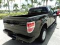 Tuxedo Black - F150 STX SuperCab Photo No. 6