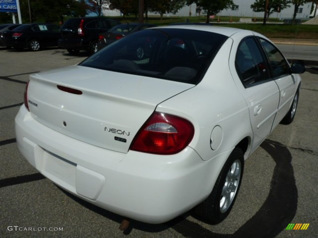 2005 Neon SXT - Stone White / Dark Slate Gray photo #3