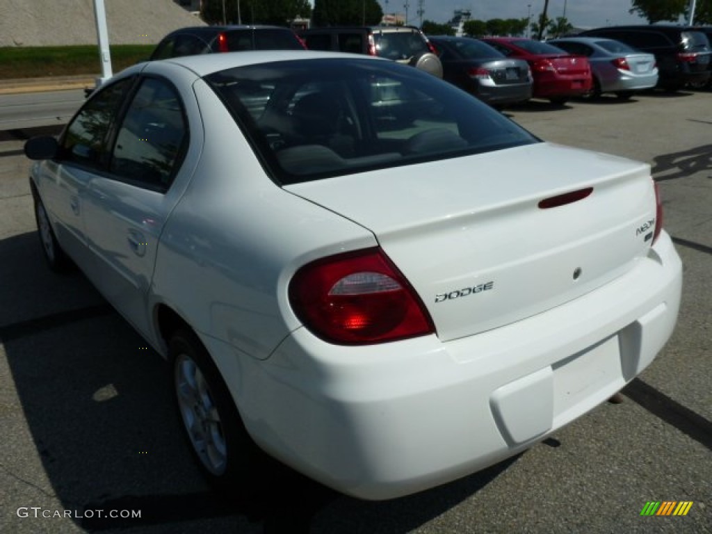 2005 Neon SXT - Stone White / Dark Slate Gray photo #5