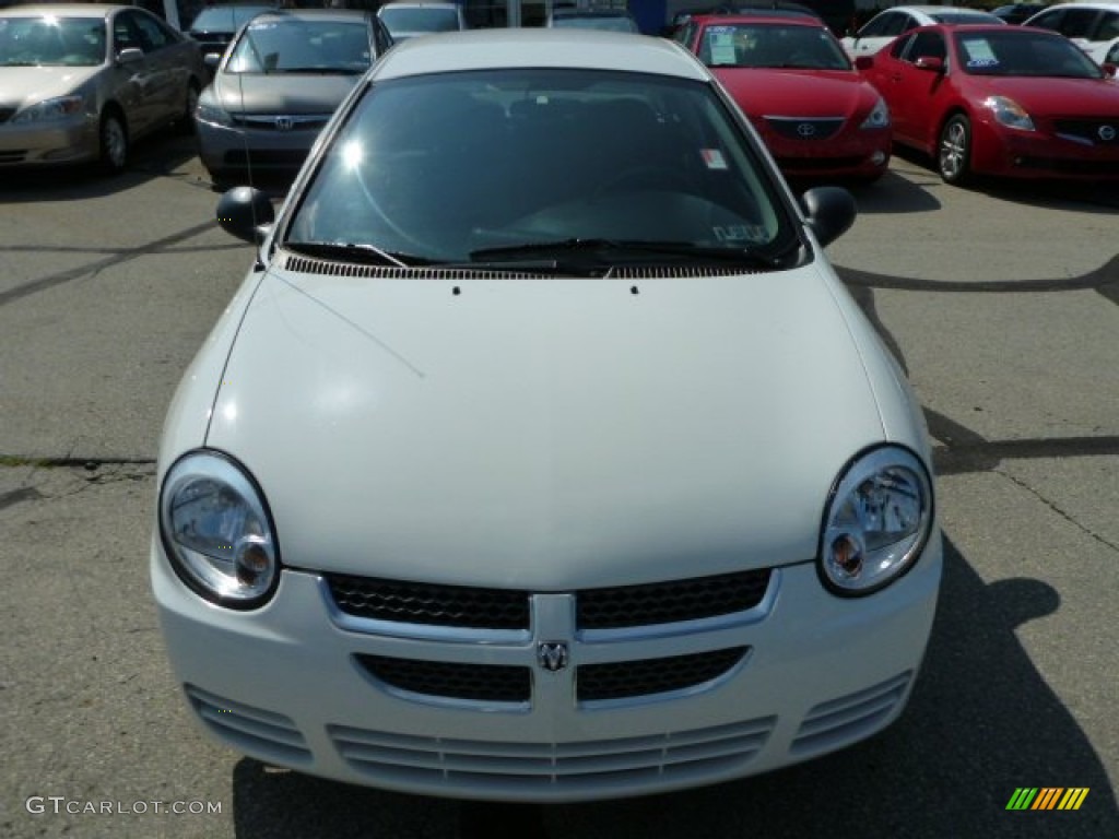 2005 Neon SXT - Stone White / Dark Slate Gray photo #8