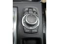Bamboo Beige Controls Photo for 2010 BMW X6 M #85250108
