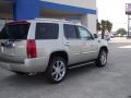 2013 Silver Coast Metallic Cadillac Escalade Luxury  photo #5