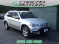 Titanium Silver Metallic - X5 4.8i Photo No. 1