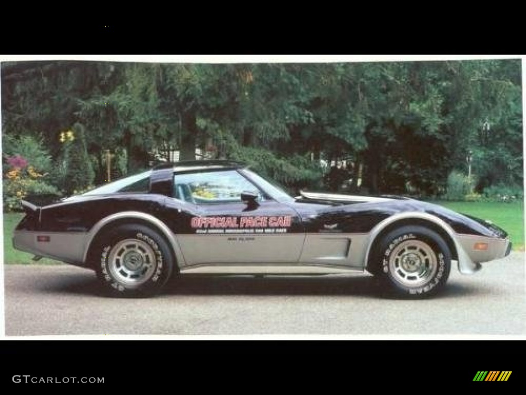 1978 Corvette Anniversary Edition Coupe - Silver/Black / Silver photo #1