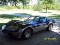 1978 Silver/Black Chevrolet Corvette Anniversary Edition Coupe  photo #2