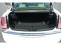 2014 Chrysler 300 Black/Light Frost Beige Interior Trunk Photo