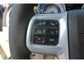 Dark Frost Beige/Light Frost Beige Controls Photo for 2014 Chrysler 300 #85256430