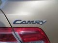 Sandy Beach Metallic - Camry  Photo No. 19