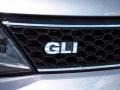 2014 Platinum Gray Metallic Volkswagen Jetta GLI  photo #8