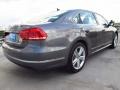 Platinum Gray Metallic - Passat 2.5L S Photo No. 6