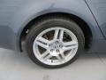 2007 Carbon Gray Pearl Acura TL 3.2  photo #12