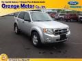 Ingot Silver Metallic 2010 Ford Escape XLT V6