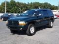 Forest Green Pearl - Durango SLT 4x4 Photo No. 8