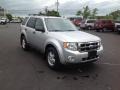 2010 Ingot Silver Metallic Ford Escape XLT V6  photo #25