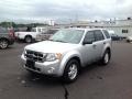 Ingot Silver Metallic - Escape XLT V6 Photo No. 27