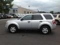 Ingot Silver Metallic - Escape XLT V6 Photo No. 28