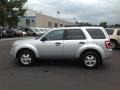 2010 Ingot Silver Metallic Ford Escape XLT V6  photo #28